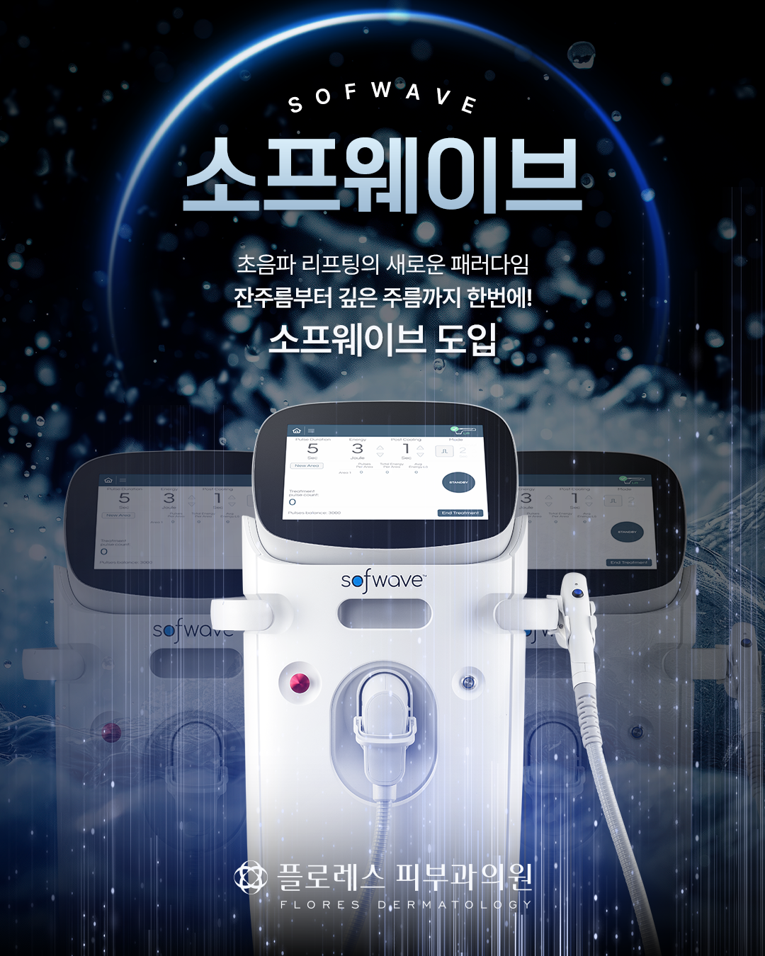 소프웨이브 도입