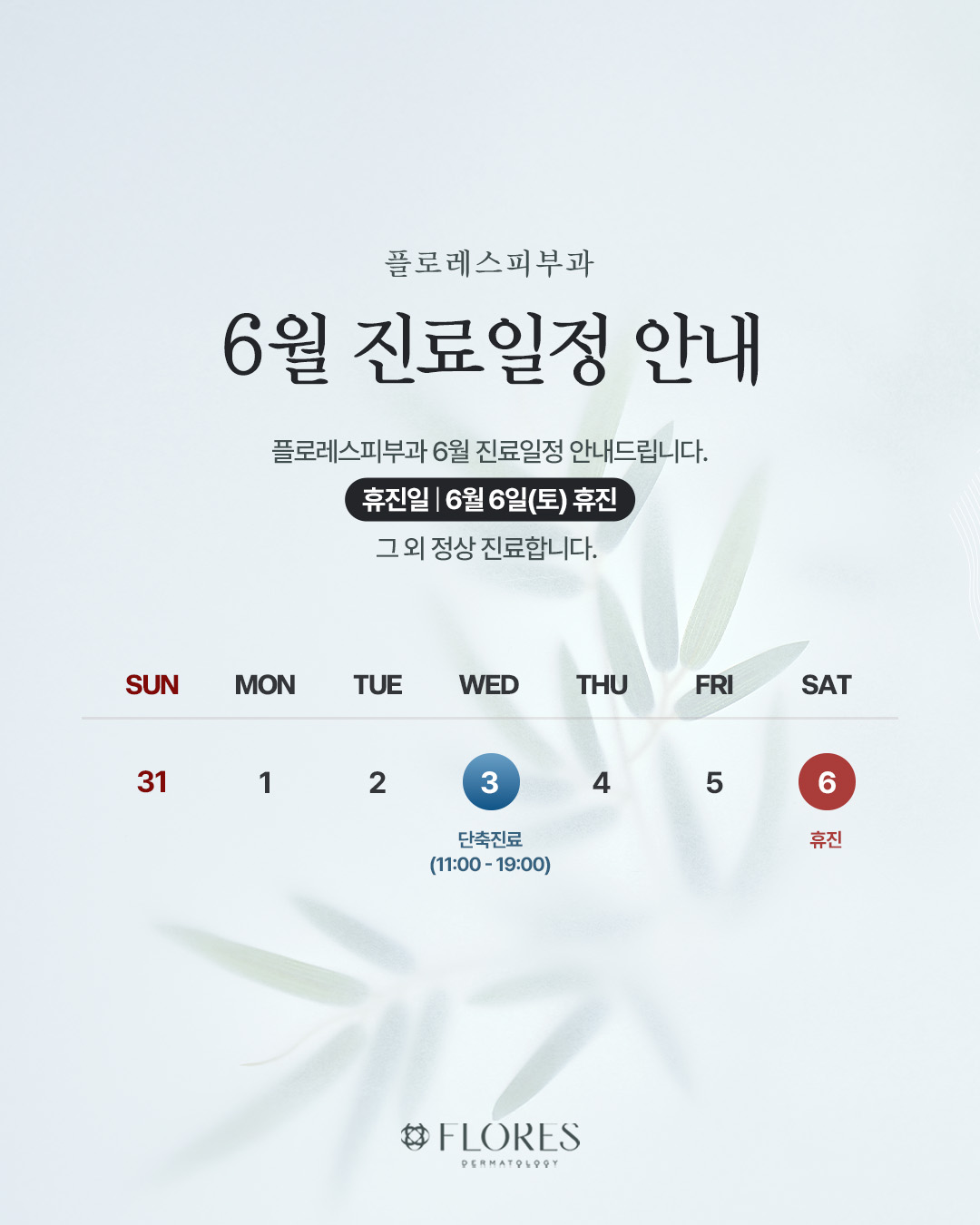6월 휴진 일정